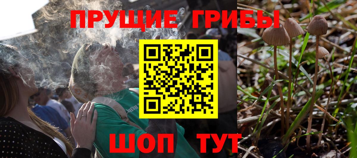 Губкин  Галлюциногенные грибы MAGIC MUSHROOMS  где можно купить наркотик  Псилоцибиновые грибы Magic Shrooms  Вход с VPN 