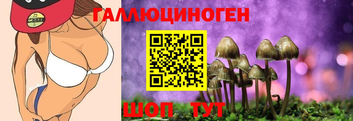 Псилоцибиновые грибы прущие грибы Губкин