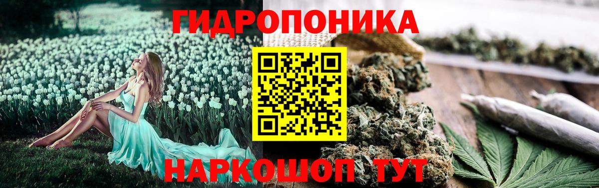 Марихуана AK-47  Вход с VPN  Губкин  Бошки марихуана THC 21% 